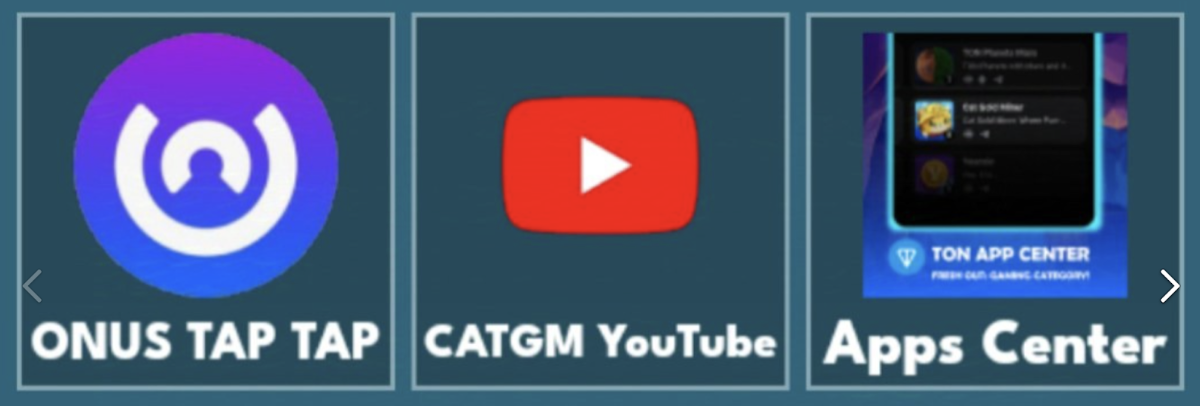 Cat Gold Miner комбо дня 5 ноября